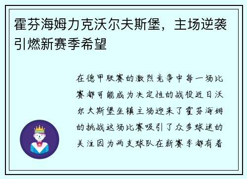 霍芬海姆力克沃尔夫斯堡，主场逆袭引燃新赛季希望