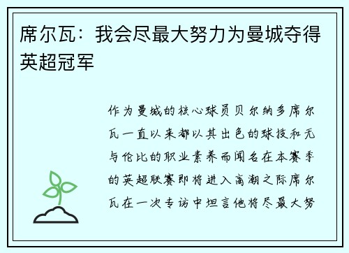席尔瓦：我会尽最大努力为曼城夺得英超冠军